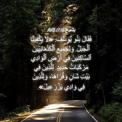 Picture 04 - يَشُوع 17:16 AVD - فَقَالَ بَنُو يُوسُفَ: - Bible Verse Picture