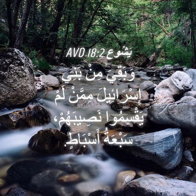 Picture 04 - يَشُوع 18:2 AVD - وَبَقِيَ مِنْ بَنِي - Bible Verse Picture
