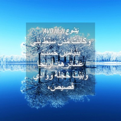 Picture 04 - يَشُوع 18:21 AVD - وَكَانَتْ مُدُنُ سِبْطِ - Bible Verse Picture
