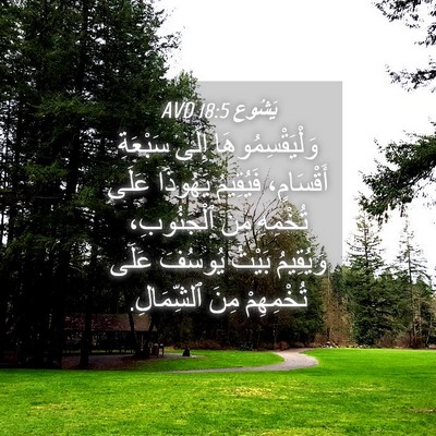Picture 04 - يَشُوع 18:5 AVD - وَلْيَقْسِمُوهَا إِلَى - Bible Verse Picture