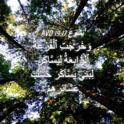 Picture 04 - يَشُوع 19:17 AVD - وَخَرَجَتِ ٱلْقُرْعَةُ - Bible Verse Picture