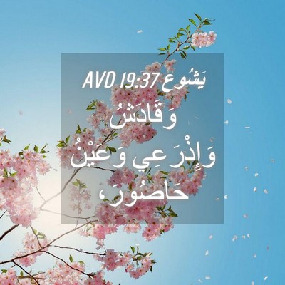 Picture 04 - يَشُوع 19:37 AVD - وَقَادَشُ وَإِذْرَعِي - Bible Verse Picture