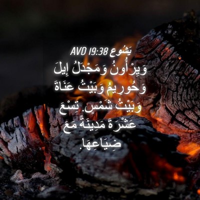 Picture 04 - يَشُوع 19:38 AVD - وَيِرْأُونُ وَمَجْدَلُ - Bible Verse Picture