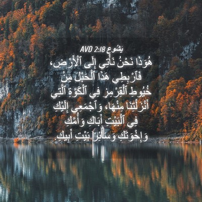 Picture 04 - يَشُوع 2:18 AVD - هُوَذَا نَحْنُ نَأْتِي - Bible Verse Picture