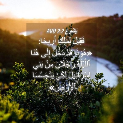 Picture 04 - يَشُوع 2:2 AVD - فَقِيلَ لِمَلِكِ أَرِيحَا: - Bible Verse Picture