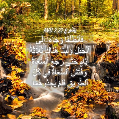 Picture 04 - يَشُوع 2:22 AVD - فَٱنْطَلَقَا وَجَاءَا - Bible Verse Picture