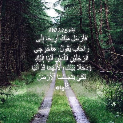 Picture 04 - يَشُوع 2:3 AVD - فَأَرْسَلَ مَلِكُ - Bible Verse Picture