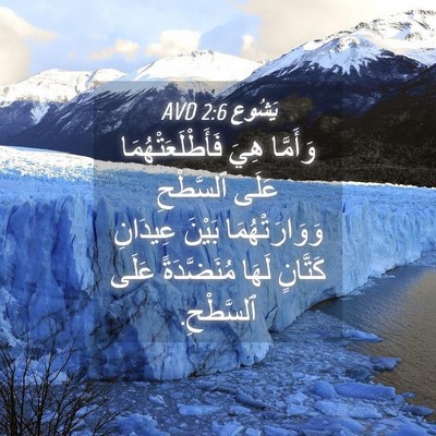 Picture 04 - يَشُوع 2:6 AVD - وَأَمَّا هِيَ - Bible Verse Picture