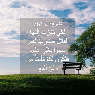 Picture 04 - يَشُوع 20:3 AVD - لِكَيْ يَهْرُبَ إِلَيْهَا - Bible Verse Picture