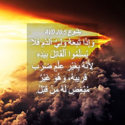 Picture 04 - يَشُوع 20:5 AVD - وَإِذَا تَبِعَهُ وَلِيُّ - Bible Verse Picture