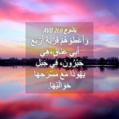 Picture 04 - يَشُوع 21:11 AVD - وَأَعْطَوْهُمْ قَرْيَةَ - Bible Verse Picture