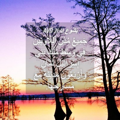 Picture 04 - يَشُوع 21:41 AVD - جَمِيعُ مُدُنِ - Bible Verse Picture