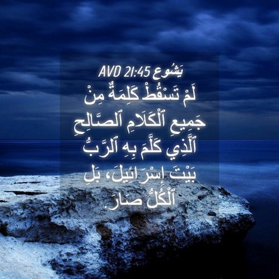 Picture 04 - يَشُوع 21:45 AVD - لَمْ تَسْقُطْ كَلِمَةٌ - Bible Verse Picture