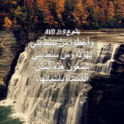 Picture 04 - يَشُوع 21:9 AVD - وَأَعْطَوْا مِنْ سِبْطِ - Bible Verse Picture