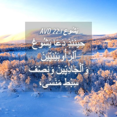 Picture 04 - يَشُوع 22:1 AVD - حِينَئِذٍ دَعَا يَشُوعُ - Bible Verse Picture