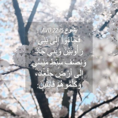 Picture 04 - يَشُوع 22:15 AVD - فَجَاءُوا إِلَى بَنِي - Bible Verse Picture