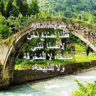 Picture 04 - يَشُوع 22:26 AVD - فَقُلْنَا نَصْنَعُ نَحْنُ - Bible Verse Picture