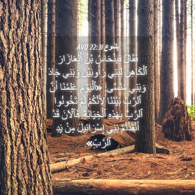 Picture 04 - يَشُوع 22:31 AVD - فَقَالَ فِينْحَاسُ بْنُ - Bible Verse Picture