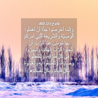 Picture 04 - يَشُوع 22:5 AVD - وَإِنَّمَا ٱحْرِصُوا - Bible Verse Picture