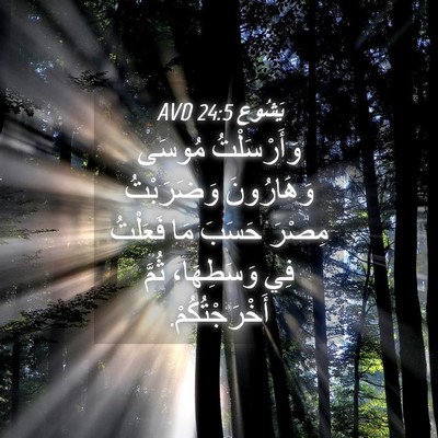 Picture 04 - يَشُوع 24:5 AVD - وَأَرْسَلْتُ مُوسَى - Bible Verse Picture