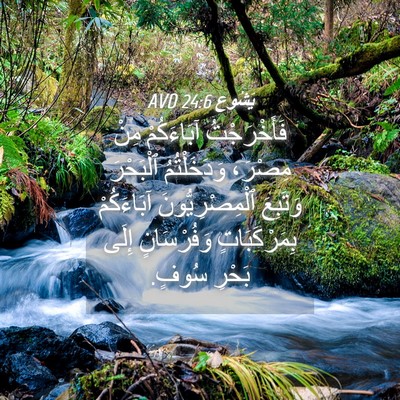 Picture 04 - يَشُوع 24:6 AVD - فَأَخْرَجْتُ آبَاءَكُمْ - Bible Verse Picture