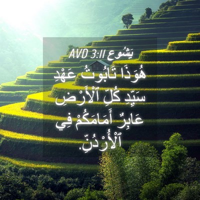 Picture 04 - يَشُوع 3:11 AVD - هُوَذَا تَابُوتُ عَهْدِ - Bible Verse Picture