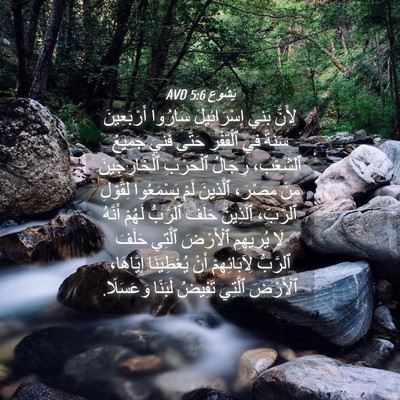 Picture 04 - يَشُوع 5:6 AVD - لِأَنَّ بَنِي - Bible Verse Picture