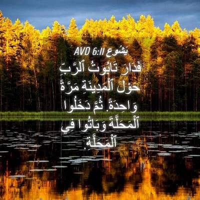Picture 04 - يَشُوع 6:11 AVD - فَدَارَ تَابُوتُ ٱلرَّبِّ - Bible Verse Picture