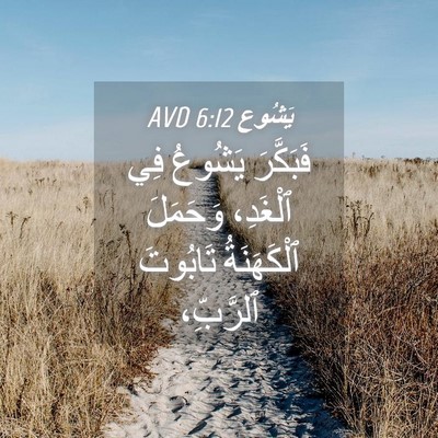 Picture 04 - يَشُوع 6:12 AVD - فَبَكَّرَ يَشُوعُ فِي - Bible Verse Picture