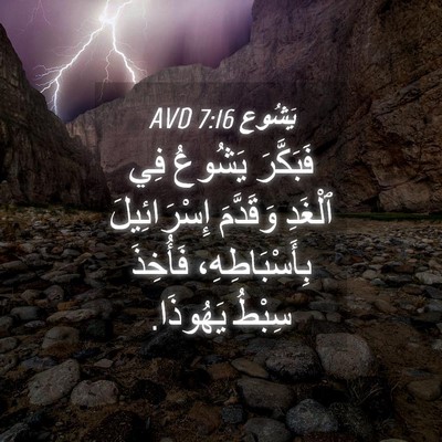 Picture 04 - يَشُوع 7:16 AVD - فَبَكَّرَ يَشُوعُ فِي - Bible Verse Picture