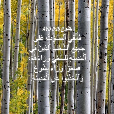 Picture 04 - يَشُوع 8:16 AVD - فَأُلْقِيَ ٱلصَّوْتُ - Bible Verse Picture