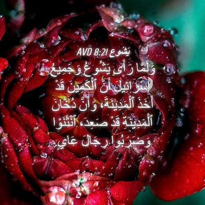 Picture 04 - يَشُوع 8:21 AVD - وَلَمَّا رَأَى يَشُوعُ - Bible Verse Picture