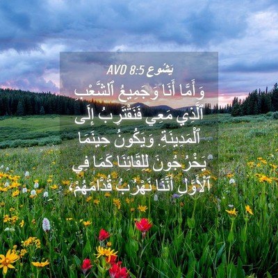 Picture 04 - يَشُوع 8:5 AVD - وَأَمَّا أَنَا وَجَمِيعُ - Bible Verse Picture