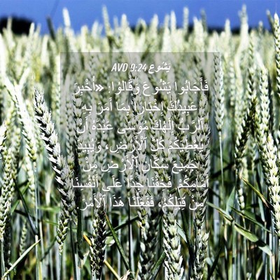 Picture 04 - يَشُوع 9:24 AVD - فَأَجَابُوا يَشُوعَ - Bible Verse Picture