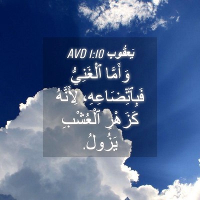 Picture 04 - يَعقُوب 1:10 AVD - وَأَمَّا ٱلْغَنِيُّ - Bible Verse Picture