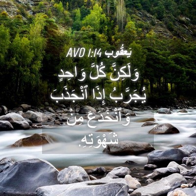 Picture 04 - يَعقُوب 1:14 AVD - وَلَكِنَّ كُلَّ وَاحِدٍ - Bible Verse Picture