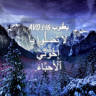 Picture 04 - يَعقُوب 1:16 AVD - لَا تَضِلُّوا يَا - Bible Verse Picture