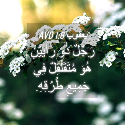 Picture 04 - يَعقُوب 1:8 AVD - رَجُلٌ ذُو رَأْيَيْنِ هُوَ - Bible Verse Picture