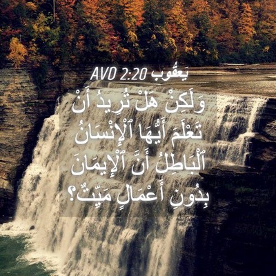 Picture 04 - يَعقُوب 2:20 AVD - وَلَكِنْ هَلْ تُرِيدُ أَنْ - Bible Verse Picture