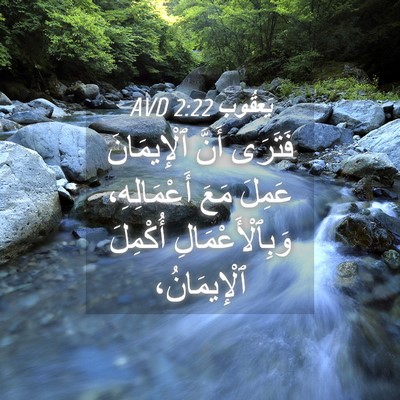 Picture 04 - يَعقُوب 2:22 AVD - فَتَرَى أَنَّ ٱلْإِيمَانَ - Bible Verse Picture