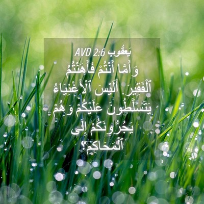 Picture 04 - يَعقُوب 2:6 AVD - وَأَمَّا أَنْتُمْ - Bible Verse Picture