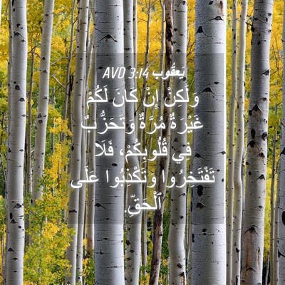 Picture 04 - يَعقُوب 3:14 AVD - وَلَكِنْ إِنْ كَانَ لَكُمْ - Bible Verse Picture