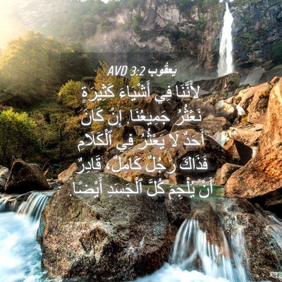 Picture 04 - يَعقُوب 3:2 AVD - لِأَنَّنَا فِي أَشْيَاءَ - Bible Verse Picture