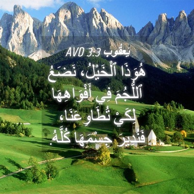 Picture 04 - يَعقُوب 3:3 AVD - هُوَذَا ٱلْخَيْلُ، نَضَعُ - Bible Verse Picture
