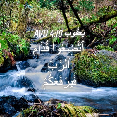 Picture 04 - يَعقُوب 4:10 AVD - ٱتَّضِعُوا قُدَّامَ - Bible Verse Picture