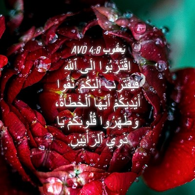 Picture 04 - يَعقُوب 4:8 AVD - اِقْتَرِبُوا إِلَى ٱللهِ - Bible Verse Picture