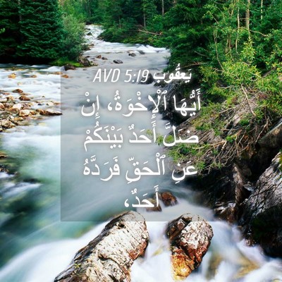 Picture 04 - يَعقُوب 5:19 AVD - أَيُّهَا ٱلْإِخْوَةُ، - Bible Verse Picture