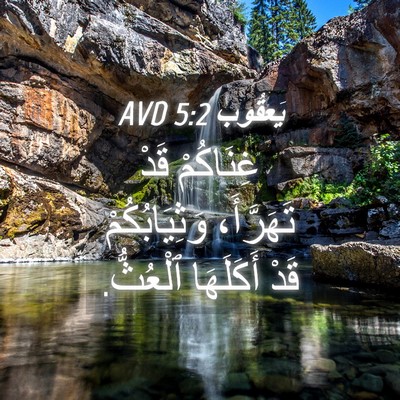 Picture 04 - يَعقُوب 5:2 AVD - غِنَاكُمْ قَدْ تَهَرَّأَ، - Bible Verse Picture