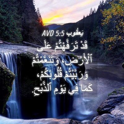 Picture 04 - يَعقُوب 5:5 AVD - قَدْ تَرَفَّهْتُمْ عَلَى - Bible Verse Picture