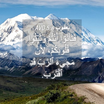 Picture 04 - يَعقُوب 5:8 AVD - فَتَأَنَّوْا أَنْتُمْ - Bible Verse Picture